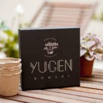 Bonsai Tree Starter Kit - 4 Types - Image 4