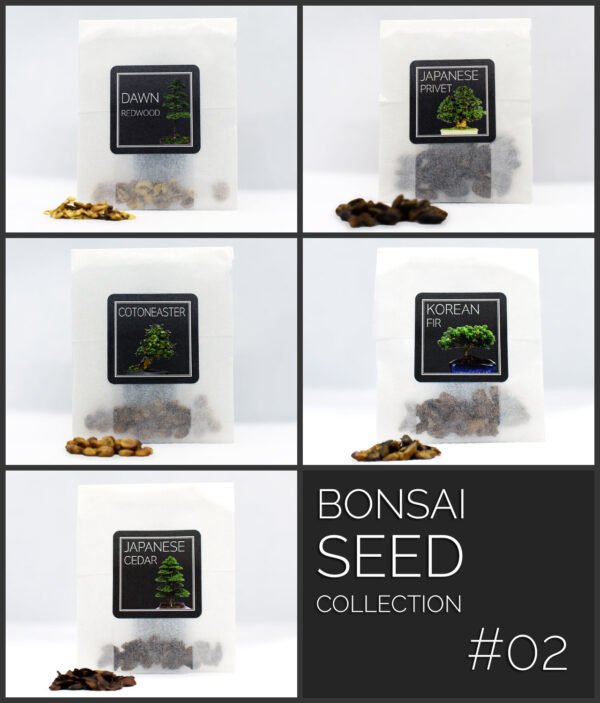 Bonsai Seeds Archives — Premium Bonsai Sets, Seeds and Pots