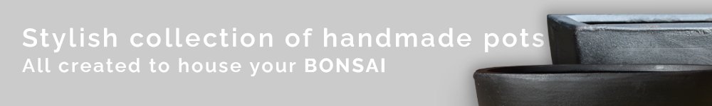 Bonsai Pots