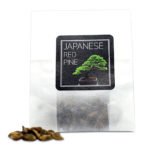Japanese Red Pine Seeds