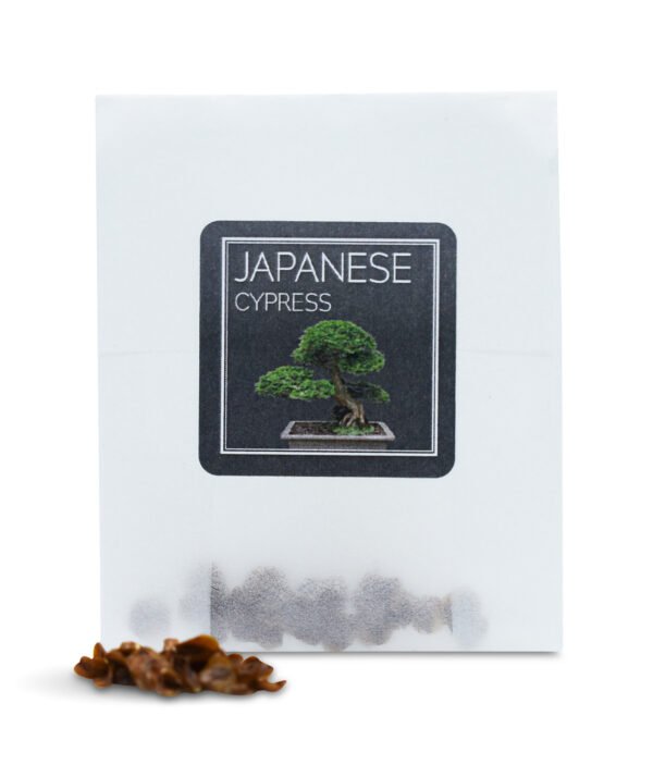 Hinoki Cypress seeds