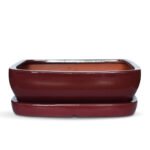Rectangle Bonsai Pot with Drip Tray - 245x195x85
