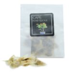 Cape Honeysuckle Seeds
