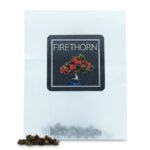 Firethorn Tree Seeds