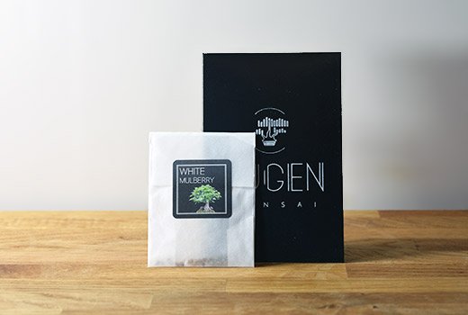 White Mulberry bonsai seed packet