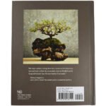 The Little Book of Bonsai: An Easy Guide to Caring for Your Bonsai Tree - Image 2