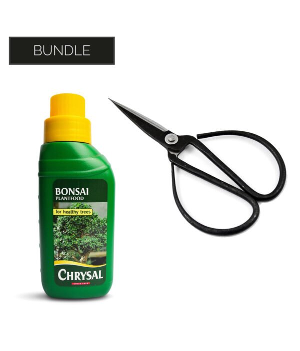 Bonsai tree care kit