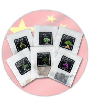 Chinese-Bonsai-Seeds-Bundle