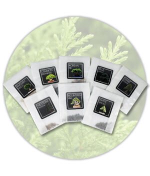 Evergreen-Bonsai-Seeds-Bundle