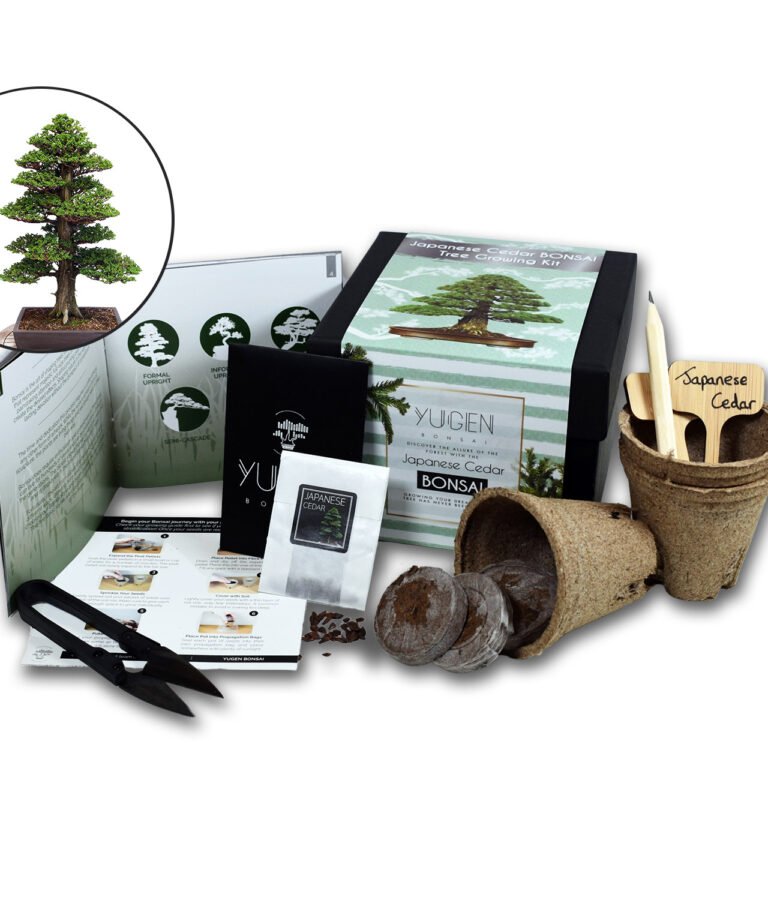 Bonsai Tree Kit – Grow Your Own Bonsai Tree – Expert Guidance