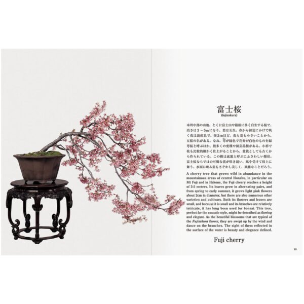 Bonsai reprint edition
