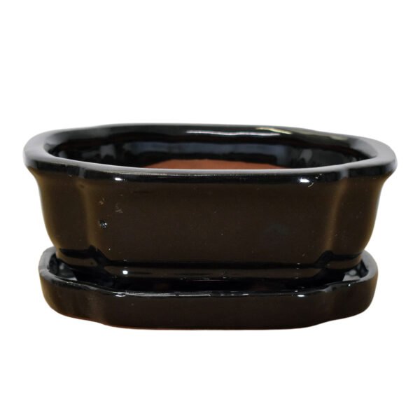 Black Bonsai Pot