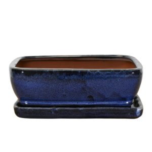 Dark Blue Bonsai Pot