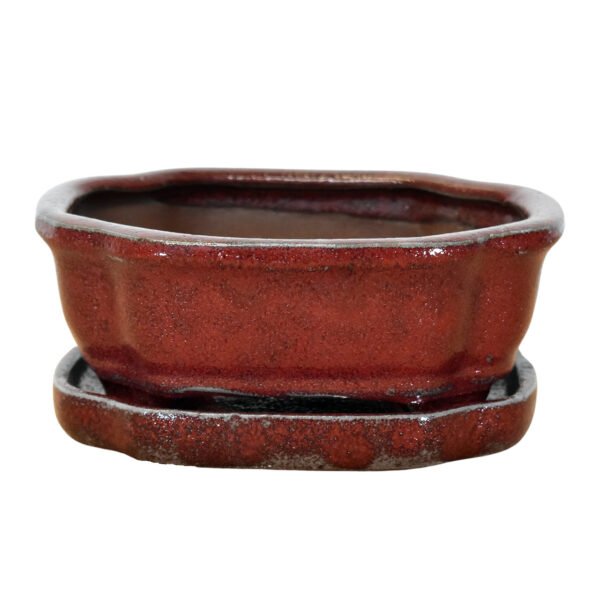 Red Bonsai Pot