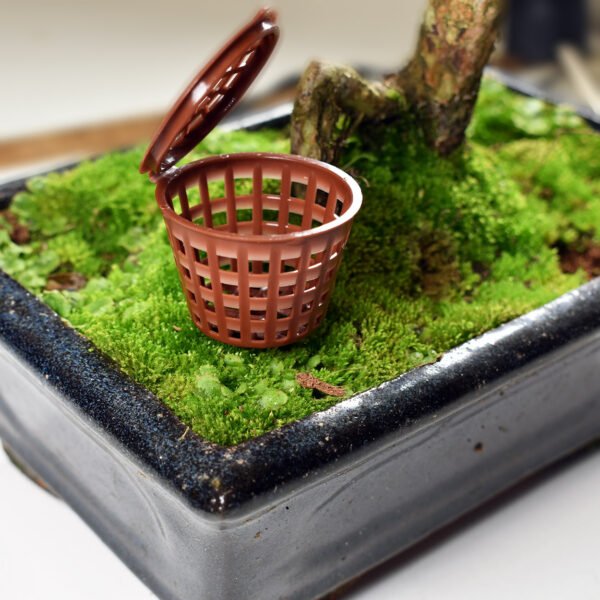 Solid Bonsai Feed basket