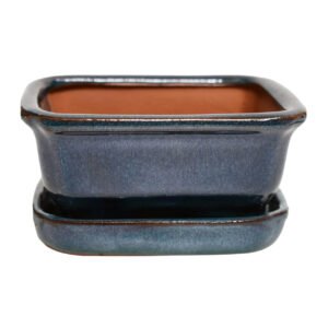 Small Bonsai Pot