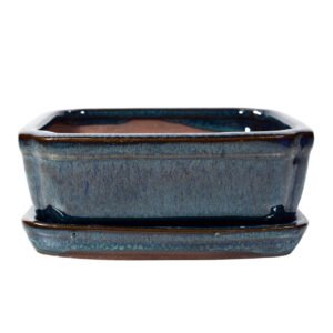 rectangle bonsai pot