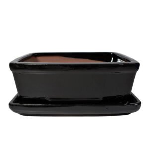 black bonsai pot