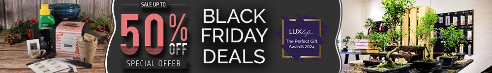 Black Friday Deals