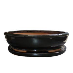 Large bonsai tree pot