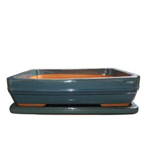 Large shallow bonsai pot