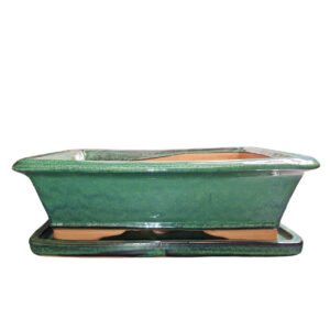 Large green bonsai tray
