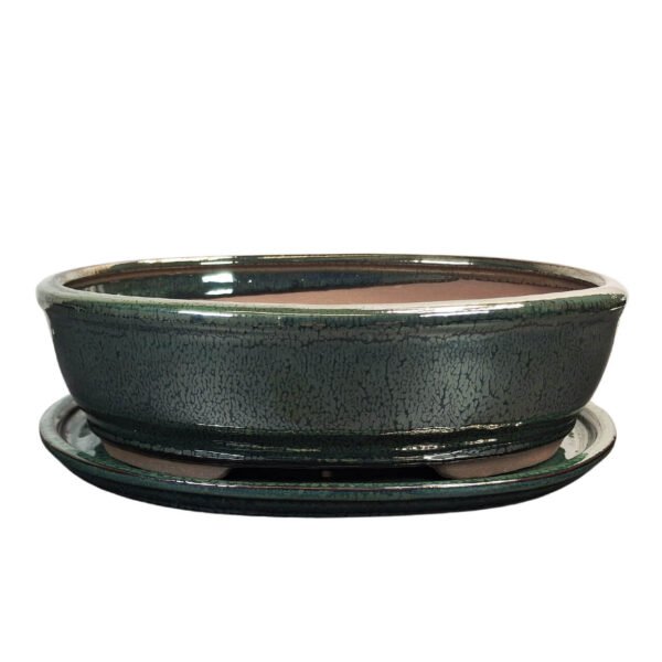 green bonsai tray