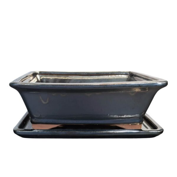tall bonsai tray