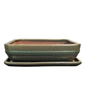 large bonsai pot and tray