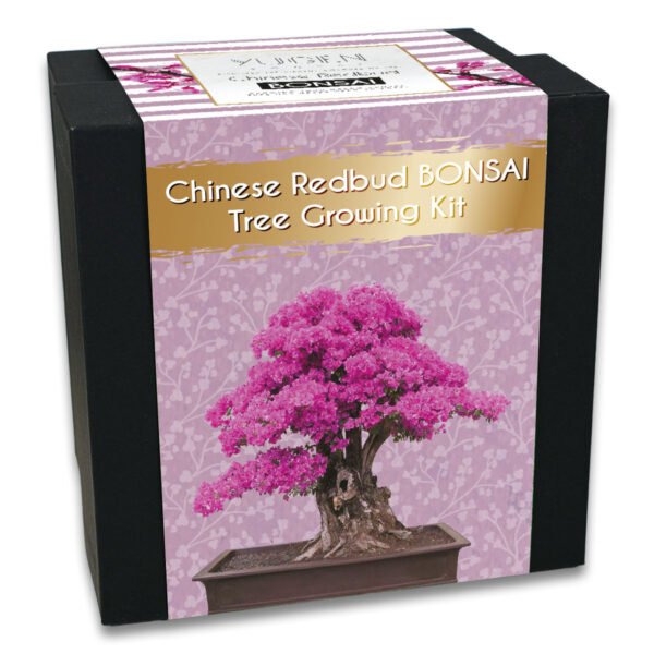 Chinese Bonsai Kit