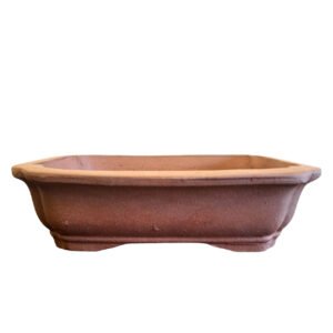 Bonsai pot unglazed