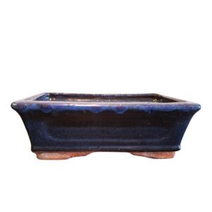 Used bonsai pot