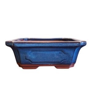 Pre-Owned Bonsai pot
