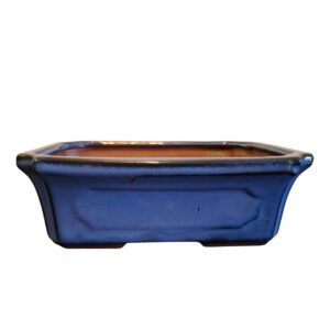 Discounted bonsai pot