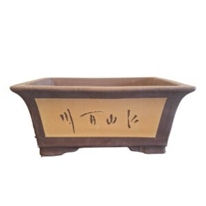 Chinese bonsai container