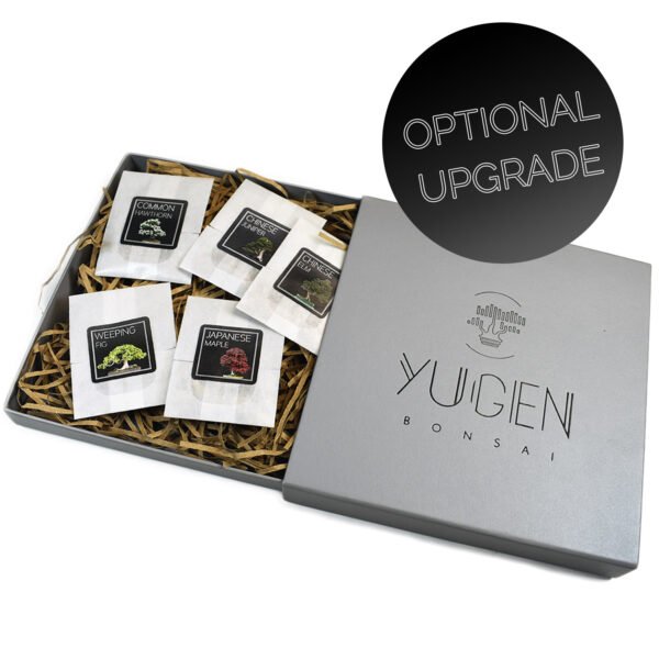 Seed Presentation Box